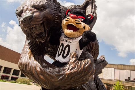 From Mascot to Brand Ambassador: Leveraging Unity Institution's Mascot for Marketing